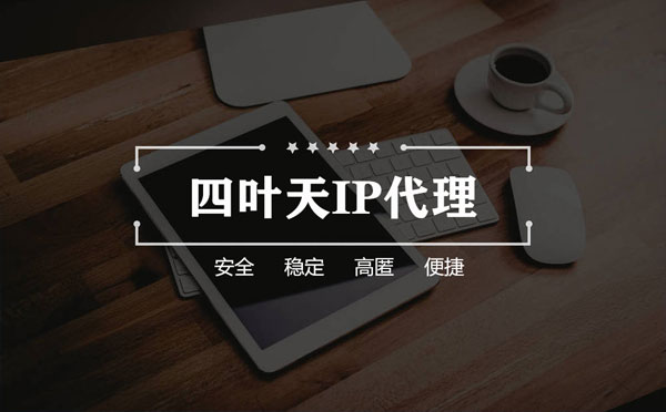 【深圳代理IP】如何快速搭建代理IP？怎么检查代理的效果？